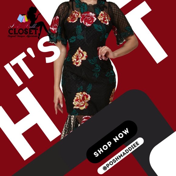 H.P. ⭐NWT -ELEGANT EMBROIDERED FLORAL LACE DRESS - Picture 2 of 8